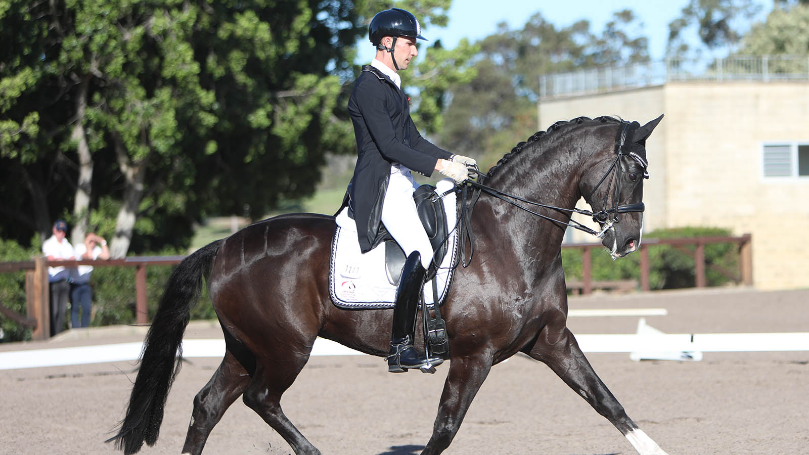 10 TIPS FOR RIDING THE PRIX ST TEST Equestrian Life