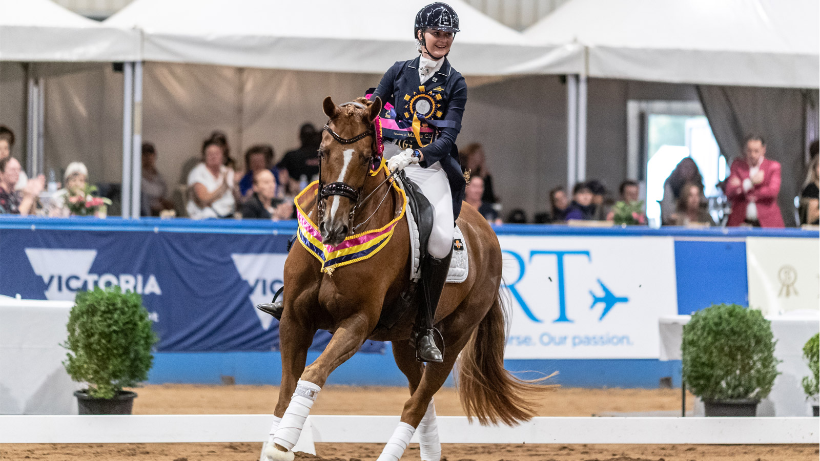 THE GOLDEN TICKET TO AACHEN Equestrian Life